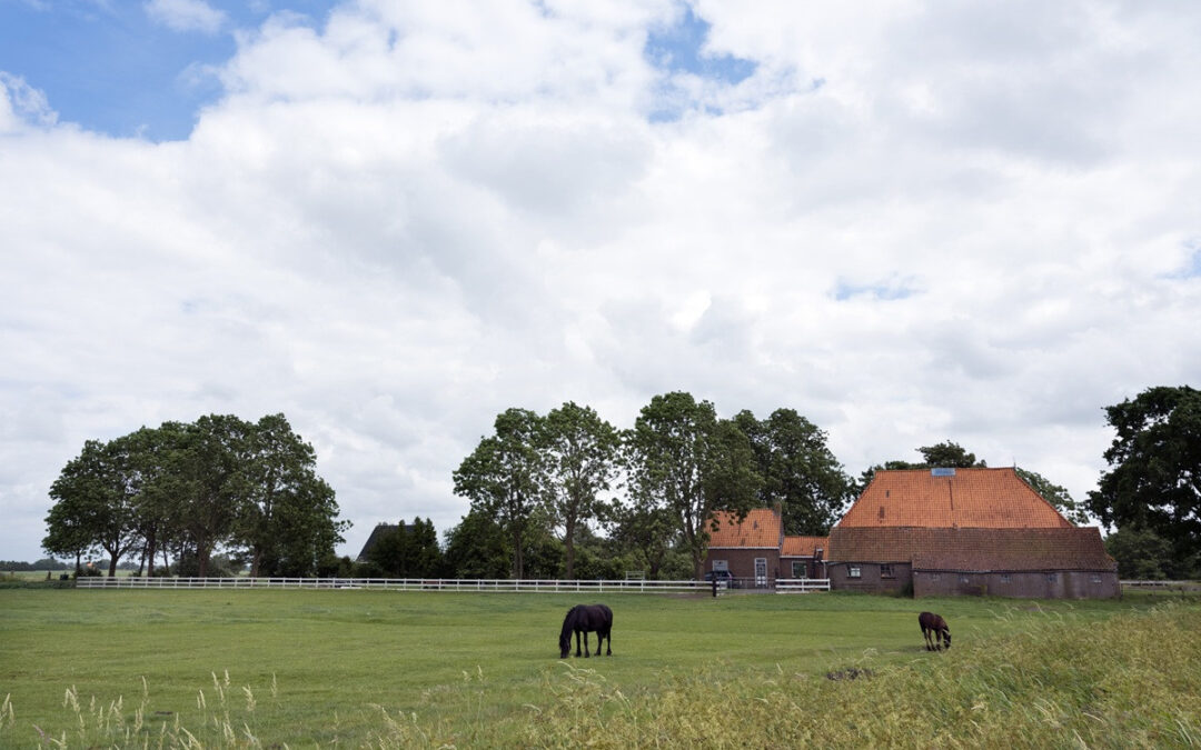 Woonboerderij met schuur, paardenbak en weiland: 10,4% of 2% overdrachtsbelasting?